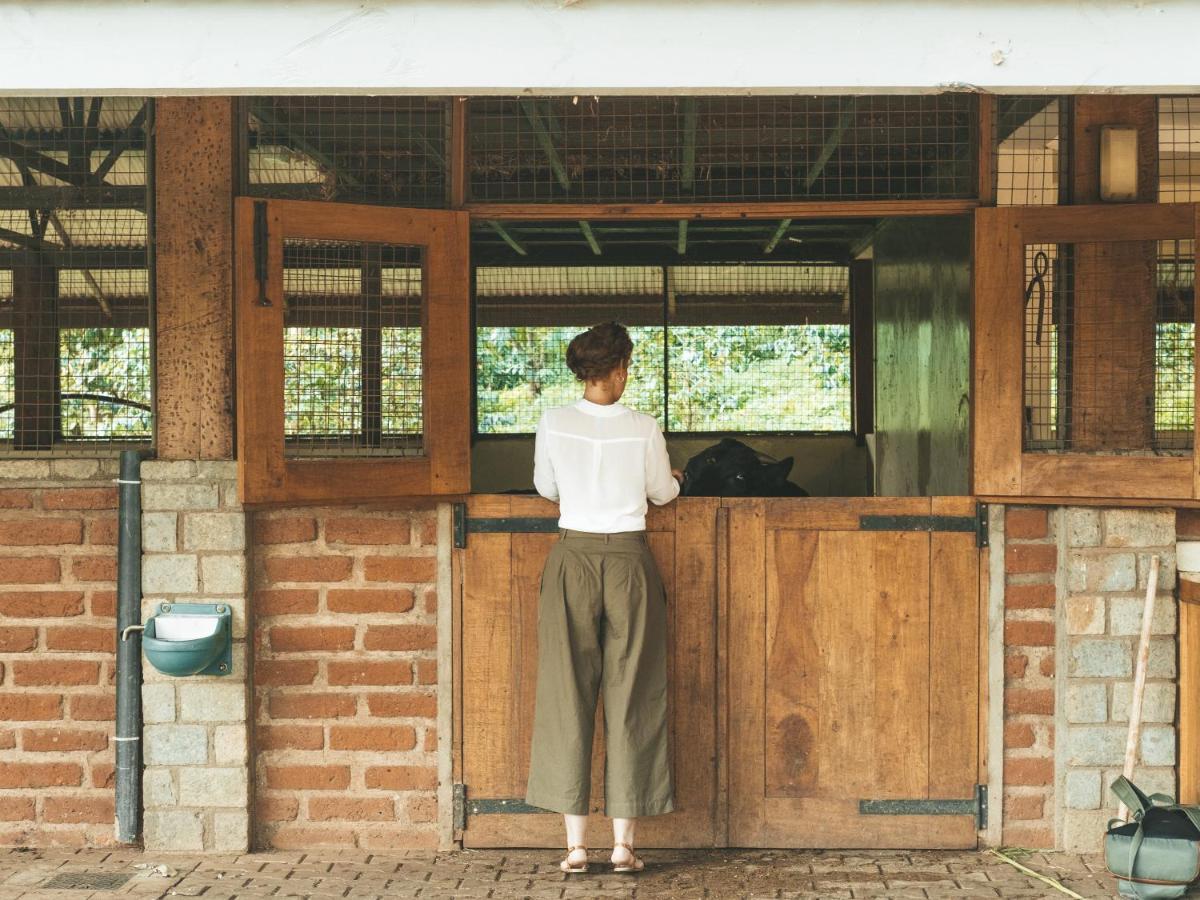 ホテル Gibb'S Farm カラトゥ エクステリア 写真